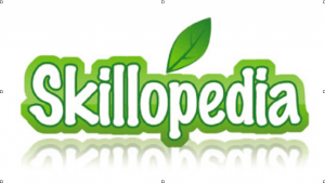 Skillopedia - видеоуроки на все случаи жизни